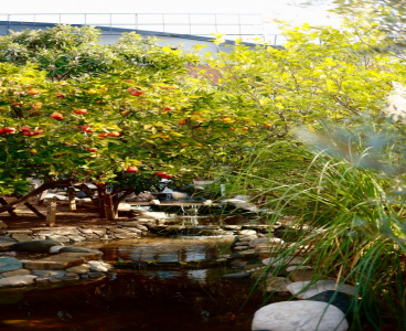 DOĞANIN KALBİNDEN BİR MİSAFİR