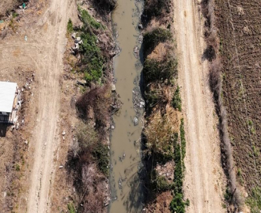 Adana’da dere yatağı at ve eşek atıklarıyla dolu