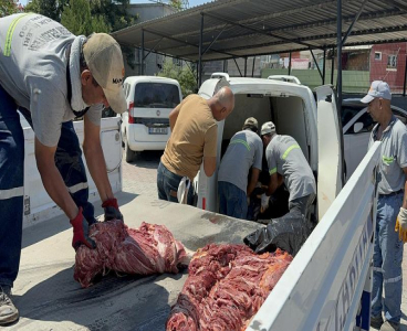 Adana’da dana eti diye tek tırnaklı hayvan eti sattılar